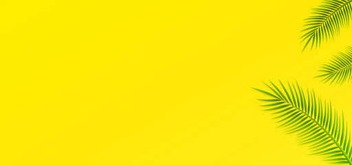 Fototapeta na wymiar HD tropical background with clean yellow color and palm green leaves. Vector illustration of summer background and can editable