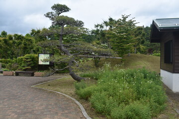 花の都公園