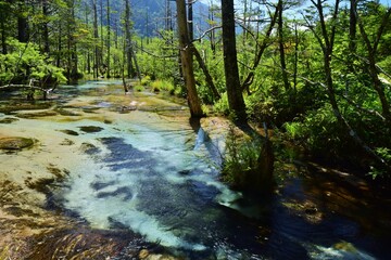 Fototapeta premium 盛夏の上高地 