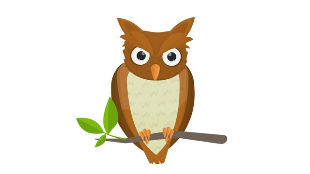 Owl. Animation of a bird sitting on a branch, the alpha channel is turned on. Cartoon