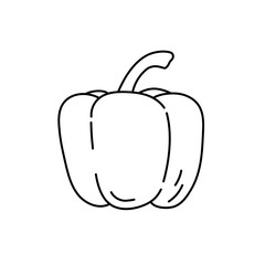 Pepper. Vegetable sketch. Thin simple outline icon. Black contour line vector. Doodle hand drawn illustration