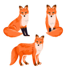 A set of foxes in different poses. Detailed animals.