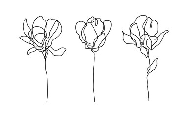 Flowers One Line Drawing Vector Set. Botanical Modern Single Line Art, Aesthetic Contour. Perfect for Home Decor, Wall Art Posters, or t-shirt Print, Mobile Case. Continuous Line Drawing of Flowers.