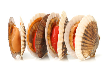 Raw scallop on white background 