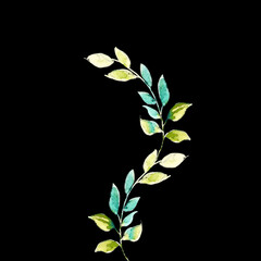 Beautiful watercolor hand-painted leaves and flowers