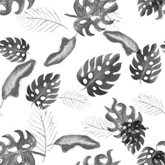 Gray Seamless Jungle. White Watercolor Backdrop. Black Pattern Decor. Tropical Leaf Floral Painting. Summer Illustration Nature Garden. Vintage Backdrop.