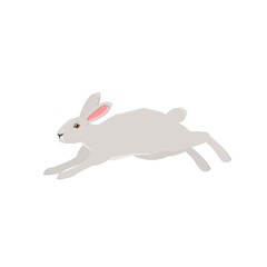 Hare. Running animal hare, vector illustration