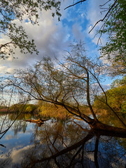 Sonnenuntergang im Vogelschutzgebiet NSG Garstadt bei Heidenfeld im Landkreis Schweinfurt, Unterfranken, Bayern, Deutschland