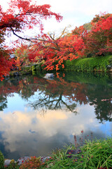 水面に映る紅葉の庭園