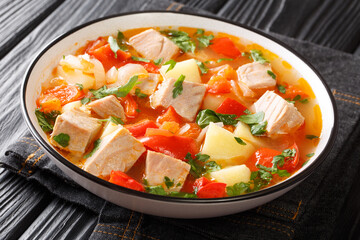 Spanish fresh tuna soup with vegetables close-up in a plate on the table. horizontal
