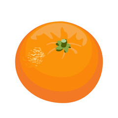 Cartoon vector illustration isolated object fresh food fruit citrus orange