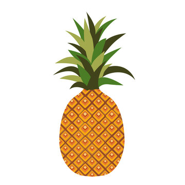 Cartoon vector illustration isolated object fresh food fruit pineapple