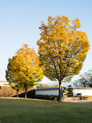 Early autumn on the grounds of Maizuru Castle Park (Kofu castle) - Kofu city, Yamanashi prefecture, Japan