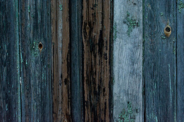 Texture from wooden boards. Old peeling paint