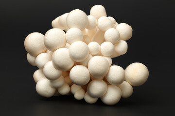 shimeji mushrooms white varieties 