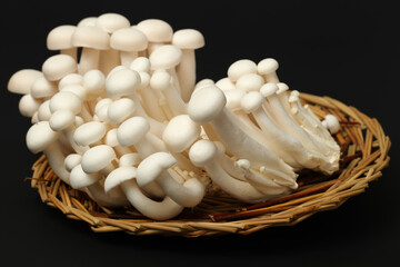 shimeji mushrooms white varieties 