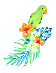 Tropical summer watercolor illustration with green parrot, palm leaves and exotic flowers. 