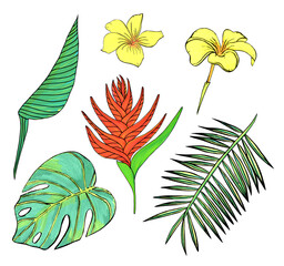 Fototapeta na wymiar Tropical flowers, palm leaf, jungle leaves, bird of paradise, plumeria flowers. Hand drawn exotic illustrations, floral elements, set isolated on white. 