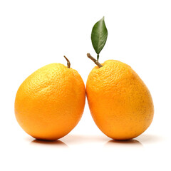 Orange fruit on the white background