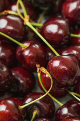 Red fresh juice cherry. Close up. Fresh berries. Food industry. Produce product