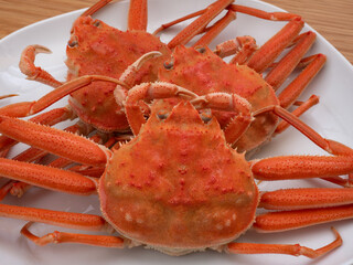 茹でたズワイガニ