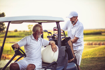 Two senior men golfers on court. Man sitting in golf cart.