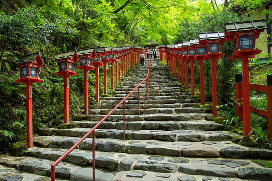 Yangli Photos Images Assets Adobe Stock Yangli Photos Images Assets Adobe Stock
