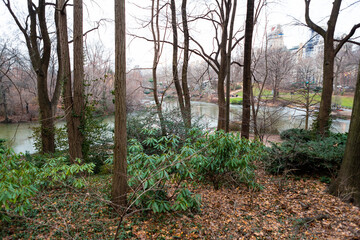 Obraz premium Wooded area around Central Park, New York City
