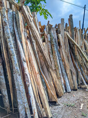 firewood being dried in the yard with vertical arrangement