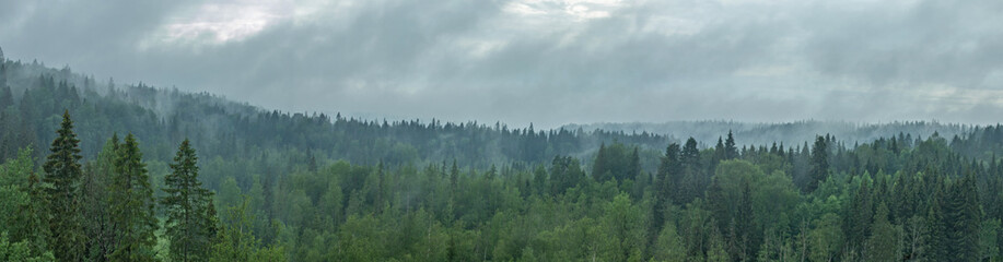 Panoramic view of the endless forest shrouded in a misty haze