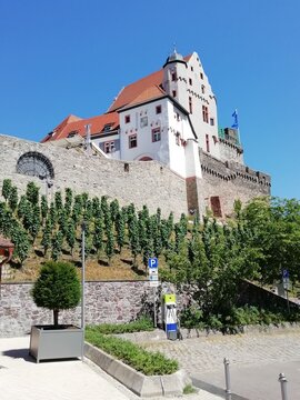 Burg Alzenau, Bayern, Deutschland