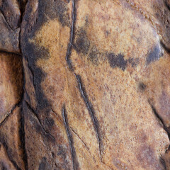 Seamless texture of rusty metal. Rust, corrosion, craters and destruction. Old metallic background. Photography.