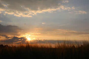 Fototapeta premium sunset over the fields