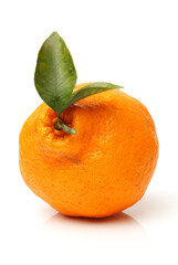  tangerine on a white background 