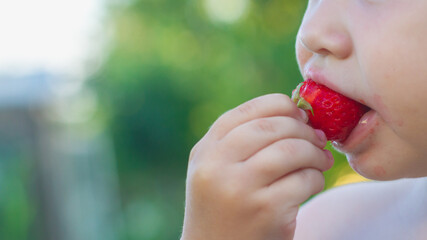 Cute baby girl caucasian eat big ripe strawberry berry in summer