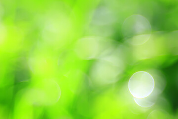 abstract green summer bokeh background, gradient view art texture glow