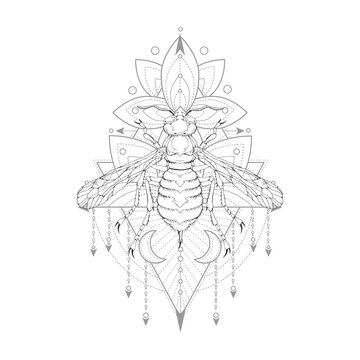 Vector illustration with hand drawn wasp and Sacred symbol on white background. Abstract mystic sign. Black linear shape. 
