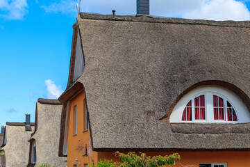 Ein Reetdach im Detail