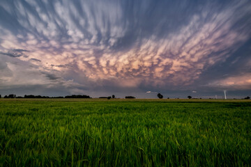 Big storm cloud over the fields - mammatus clouds