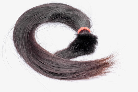 Black Long  Hair Group Cut Of Asian Woman Isolated On White Background  , Donate To Make Wigs For Cancer Patients