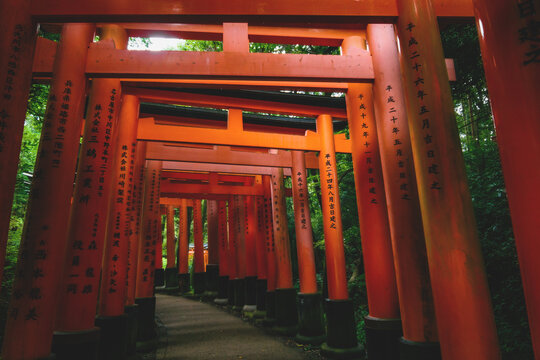 Tunnel of orange torii gates at Fishimi Inari Taisha shrine in Kyoto, Japan