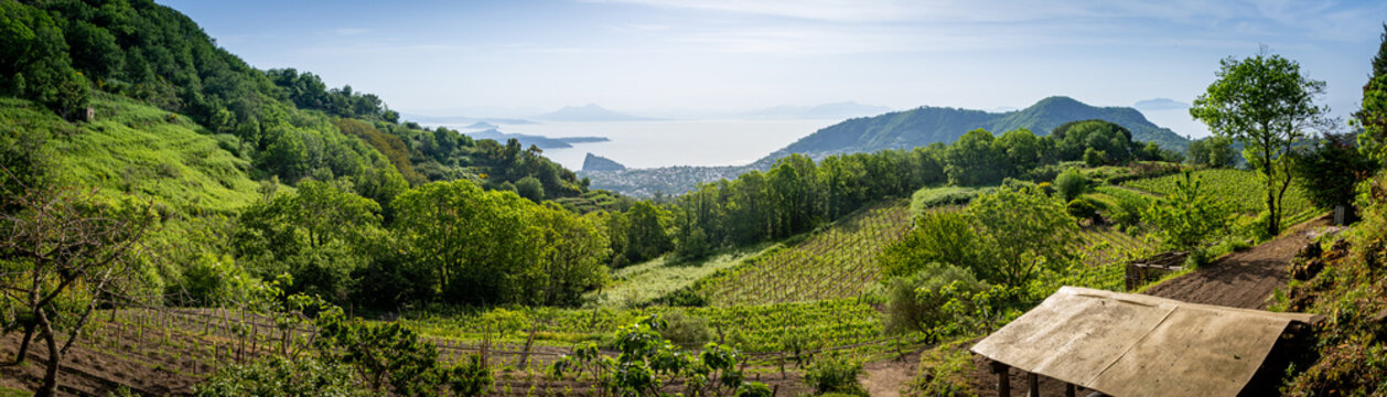 Ischia, panoramica, golfo di Napoli da Barano