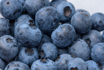 A lot of harvested blueberry fruits