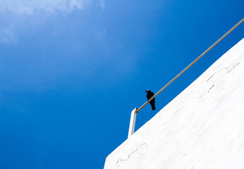 blue sky and wall