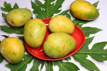 Fresh Yellow Mango fruit isolated on  background
