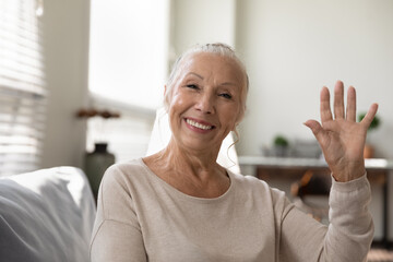 Screen view portrait of smiling mature lady wave greet have webcam digital virtual conference at home. Happy modern old woman talk speak on video call online. Elderly and technology concept.