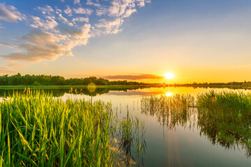 Scenic view at beautiful sunset with reflection on a shiny lake with green reeds, grass, golden sun rays, calm water ,deep blue cloudy sky and glow on a background, spring evening landscape