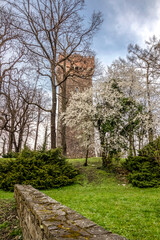 Piastowska Tower surrounded by flowering trees