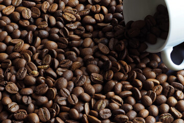 Black coffee beans with white coffee cup
