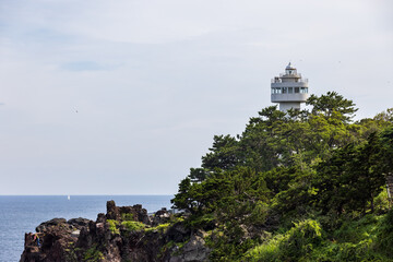 Fototapeta na wymiar 崖の上の林に囲まれた灯台と沖を帆走するヨット